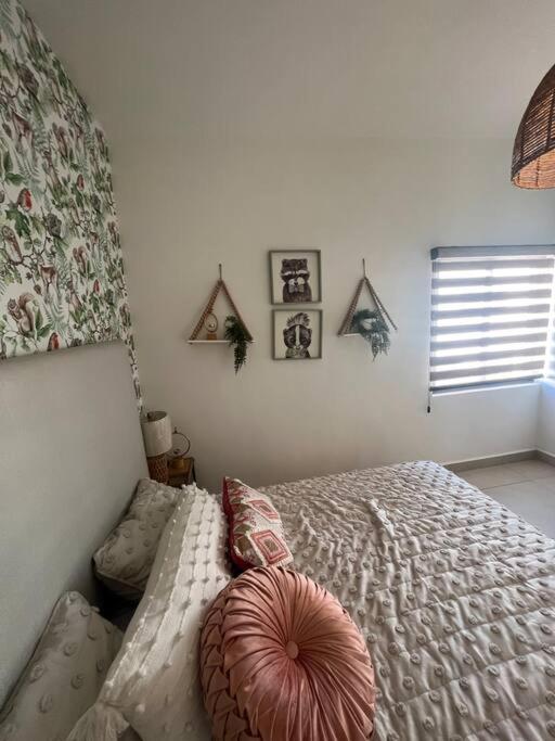Arcana Lujo Residencial Ciudad Juárez Eksteriør bilde